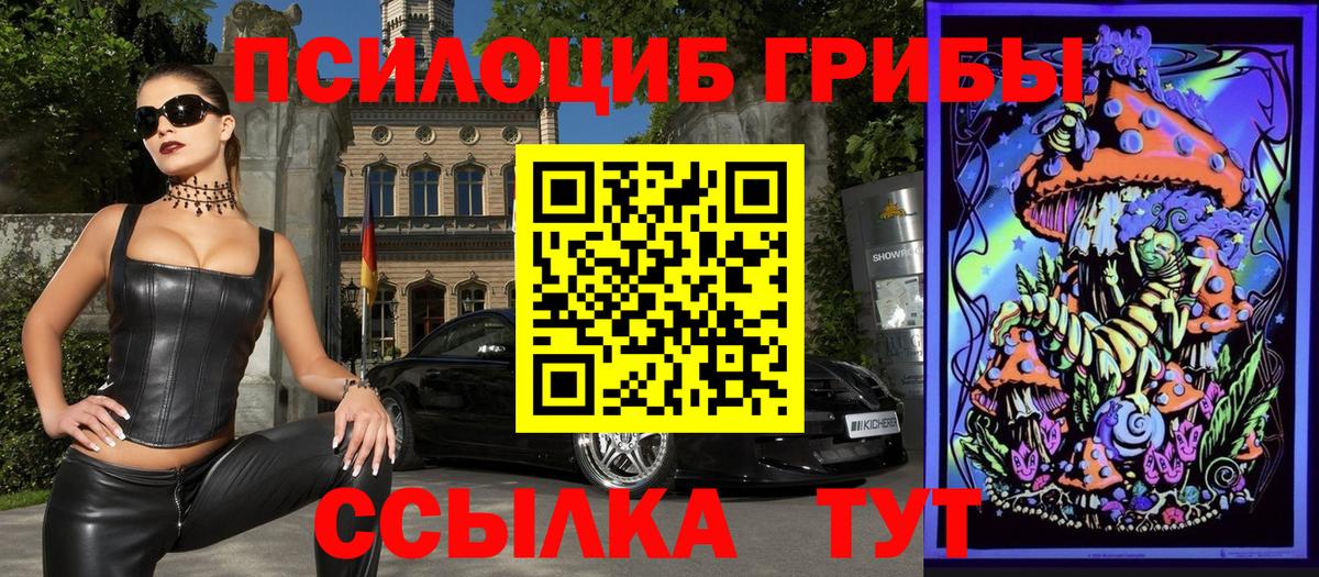 Галлюциногенные грибы Magic Shrooms Богородск