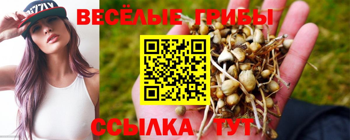 Псилоцибиновые грибы GOLDEN TEACHER  Вход с VPN  Богородск 
